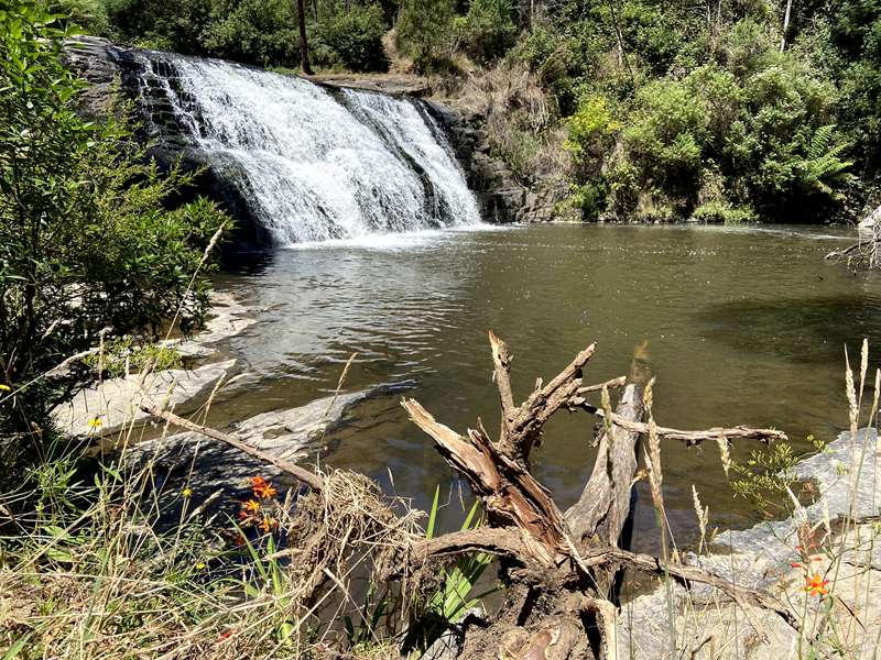 Grand Ridge - Morwell River Falls
