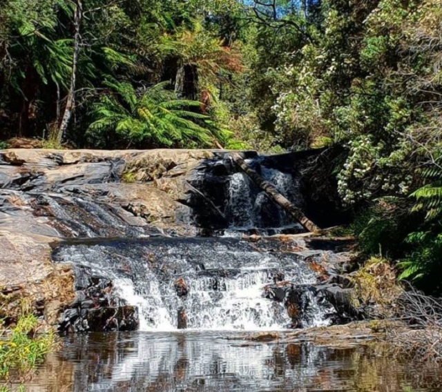 Grand Ridge - Morwell River Falls