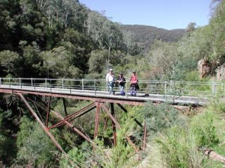 Mt Baw Baw - Great Walhalla Alpine Trail