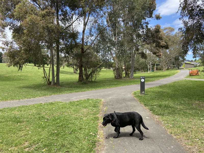 Green Gully to Jenkins Park Walk (Templestowe)