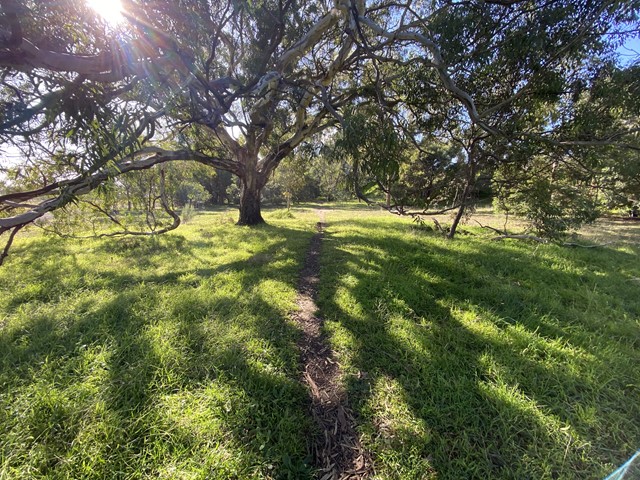 Greenvale Recreation Reserve Dog Off Leash Area (Greenvale)