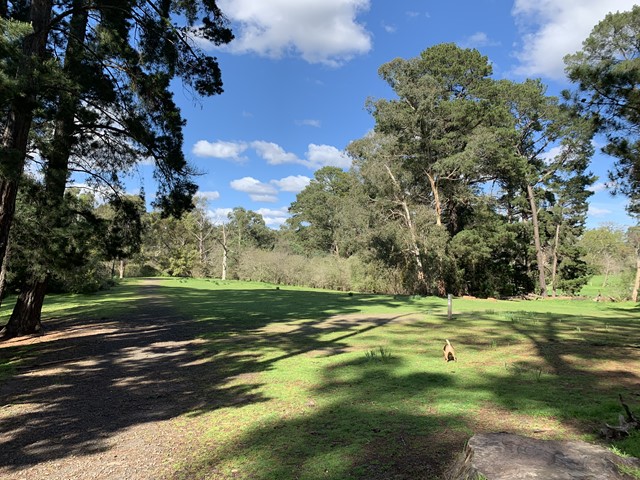 Griffith Park Dog Off Leash Area (Eltham)