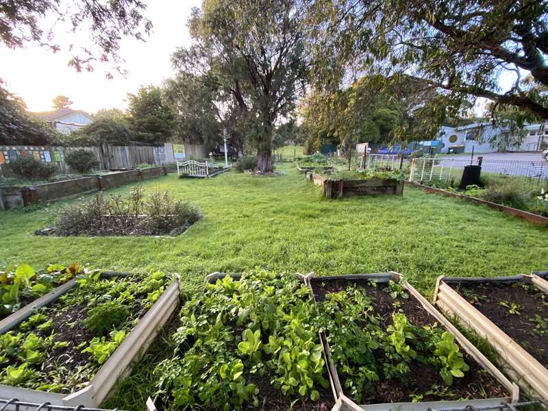 Groundswell Community Garden (Frankston)