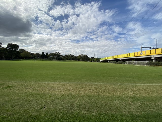 H.A Smith Reserve Dog Off Leash Area (Hawthorn)