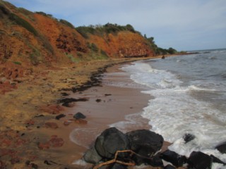 Half Moon Bay Beach Dog Off Leash Area (Mount Eliza)