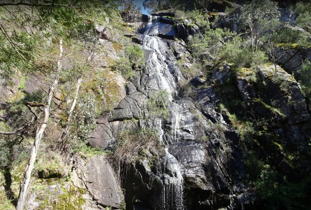 Halls Gap - Clematis Falls