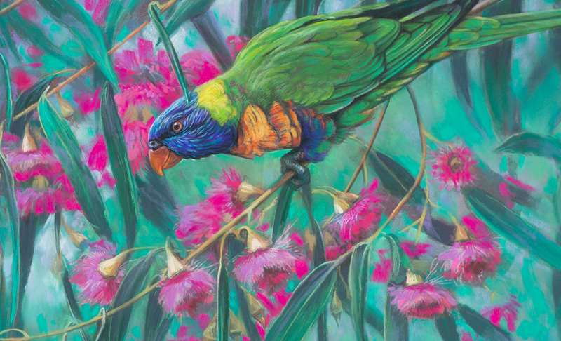 Halls Gap - Steve Morvell Wildlife Art Studio Gallery