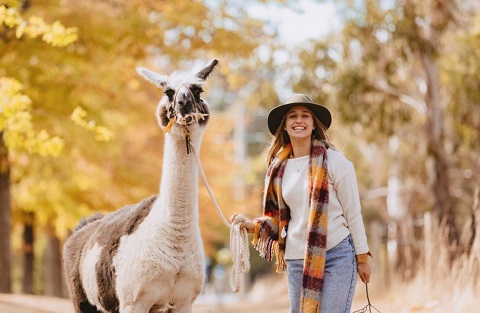 Hanging Rock Llama Treks (Woodend)