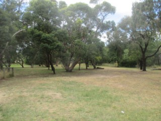 Hanns Creek Reserve Fenced Dog Park (Balnarring)