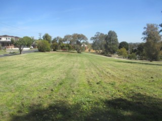 Harold Reserve Dog Off Leash Area (Bulleen)