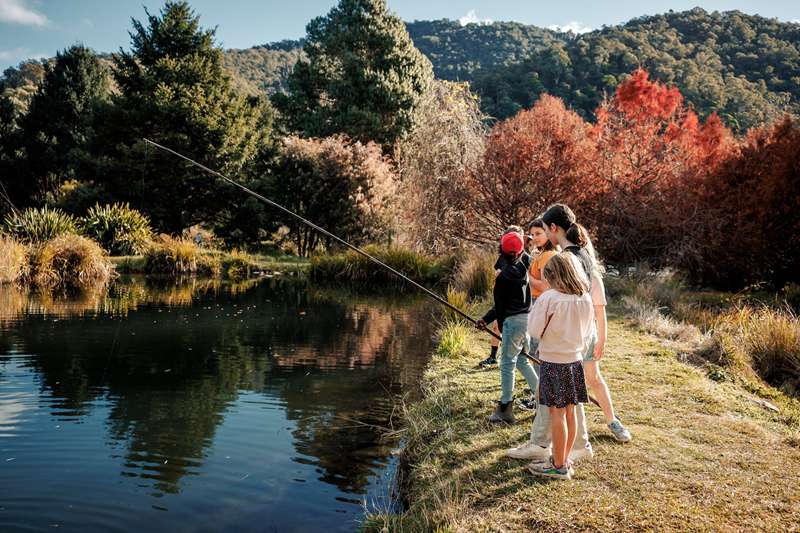 Harrietville - Stony Creek Fish Farm
