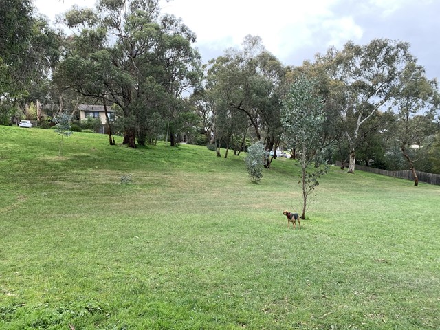 Harringtons Reserve Dog Off Leash Area (Montmorency)