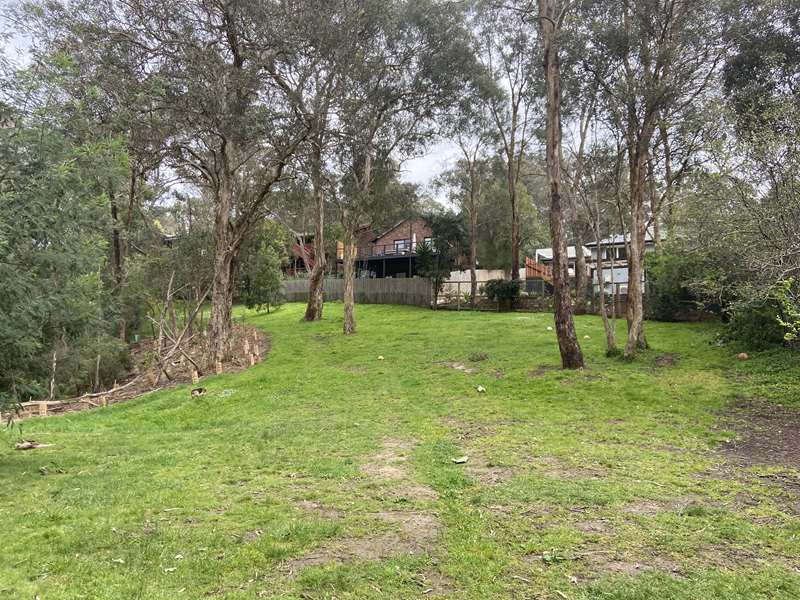 Harris Gully Reserve Dog Off Leash Area (Warrandyte)