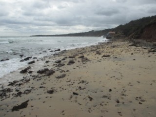 Hawker Beach Dog Off Leash Area (Mount Martha)