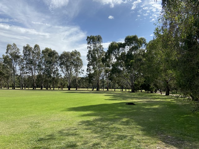 Hays Paddock Dog Off Leash Area (Kew East)