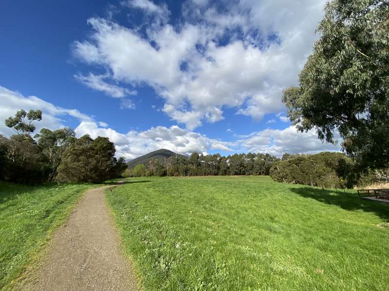 Healesville Showgrounds Dog Off Leash Area (Healesville)