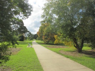 Heany Street Reserve Dog Off Leash Area (Mount Waverley)