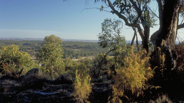 Heathcote-Graytown National Park