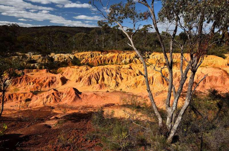 Heathcote - Pink Cliffs