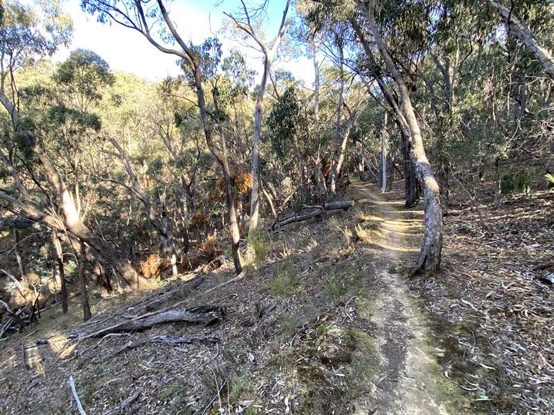 Hepburn - Diggings Loop Walk