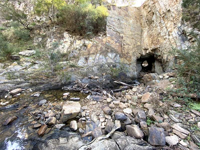 Hepburn - Diggings Loop Walk