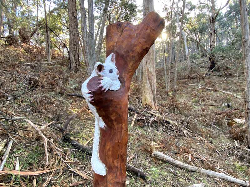 Hepburn Springs - Argyle Spring Walk