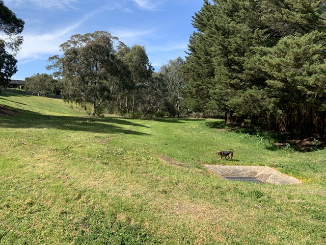 Hermann Reserve Dog Off Leash Area (Templestowe)