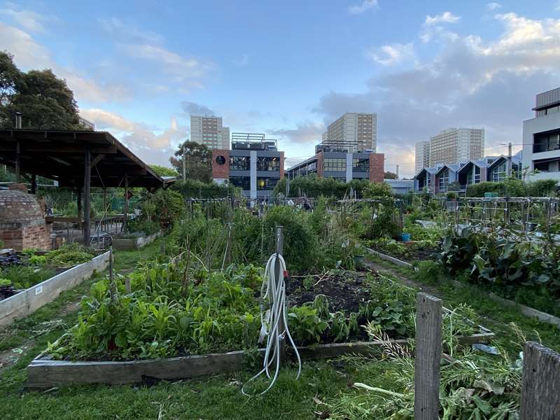 Highett St Community Garden (Richmond)