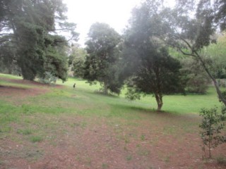 Hillcrest Reserve Dog Off Leash Area (Donvale)