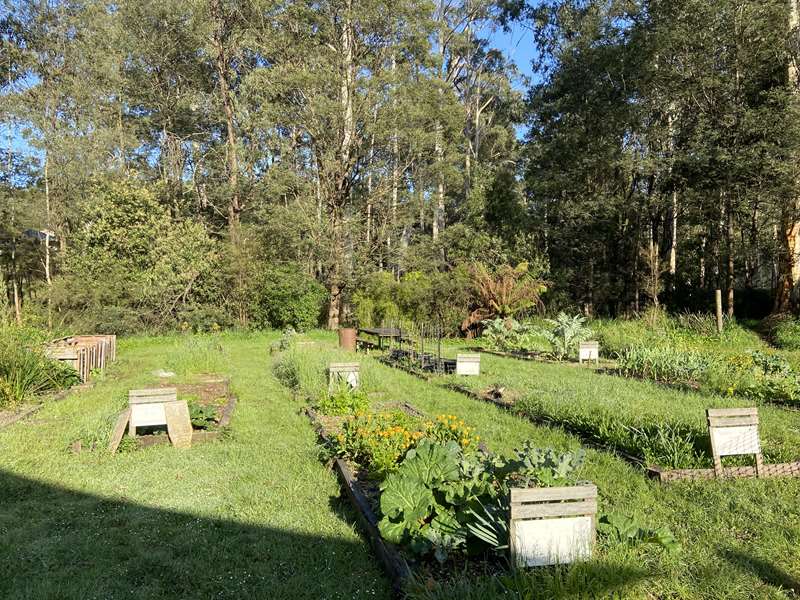 Hills Community Gardens (Cockatoo)