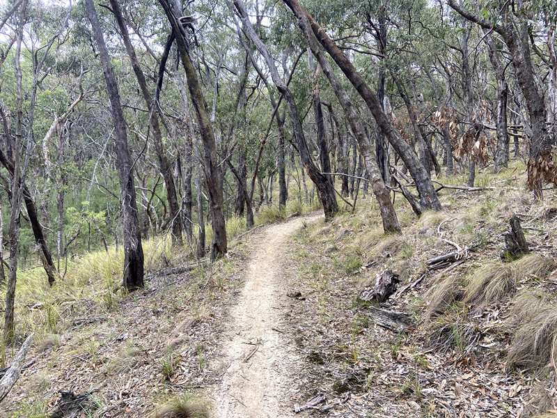 Hillview Bushland Reserve (Pakenham)