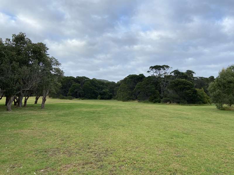 Hillview Community Reserve Dog Off Leash Area (Dromana)