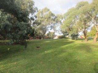 Hinkler Reserve Dog Off Leash Area (Glen Waverley)