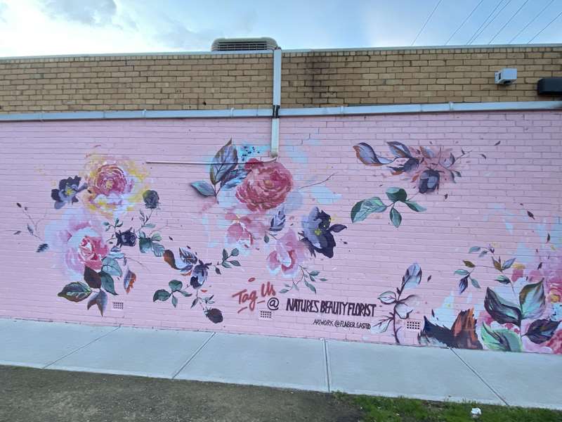 Hobsons Bay Public and Street Art