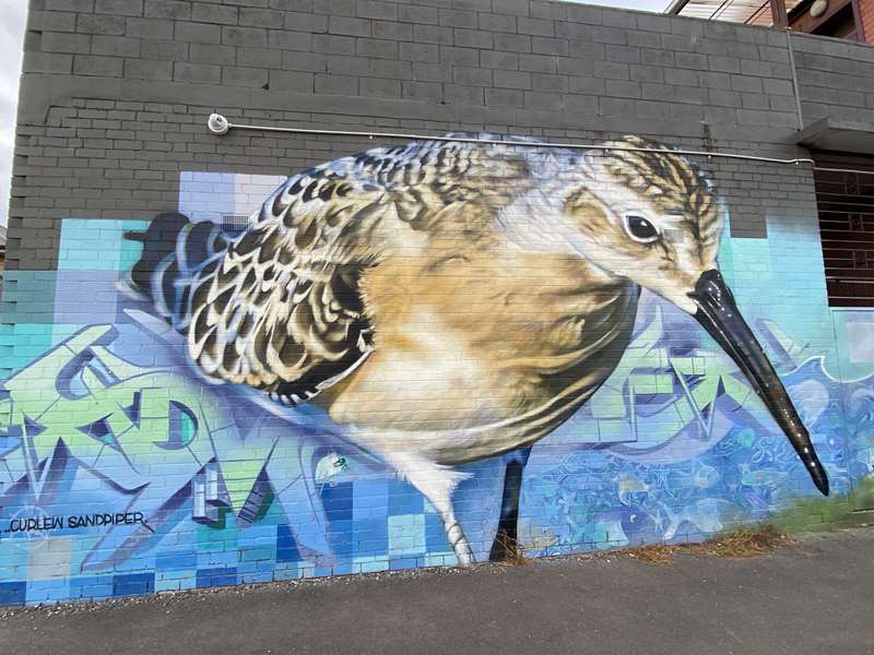 Hobsons Bay Public and Street Art