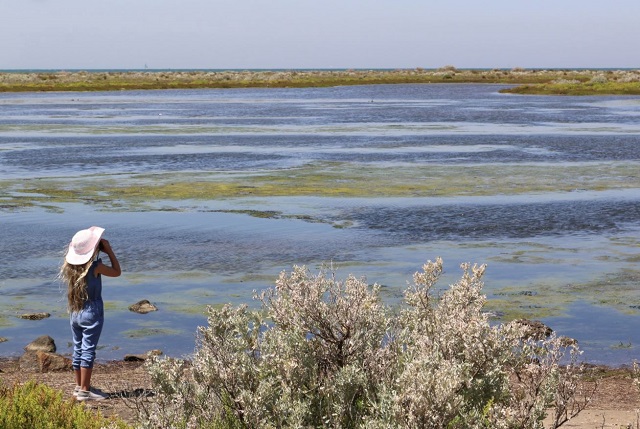 Hobsons Bay Wetlands Centre (Altona)