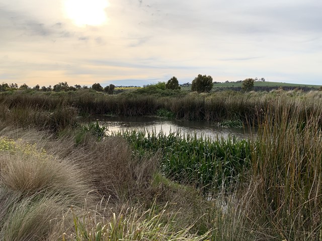 Holden Flora & Fauna Reserve (Sunbury)