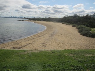 Holloway Beach Dog Off Leash Area (Brighton)