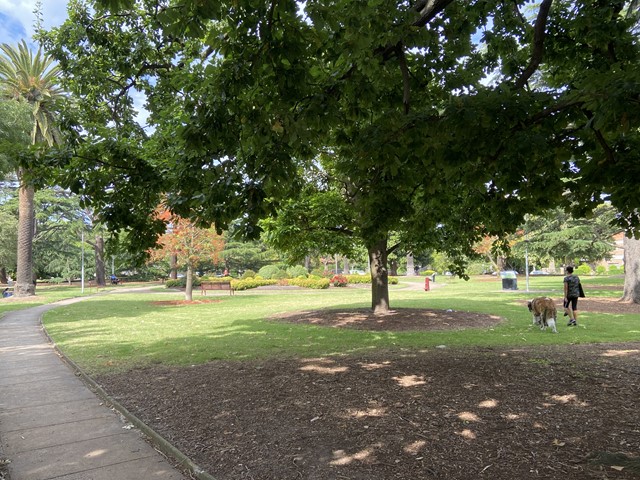 Hopetoun Gardens Dog Off Leash Area (Elsternwick)