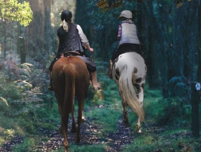 Horse Riding in the Macedon Ranges