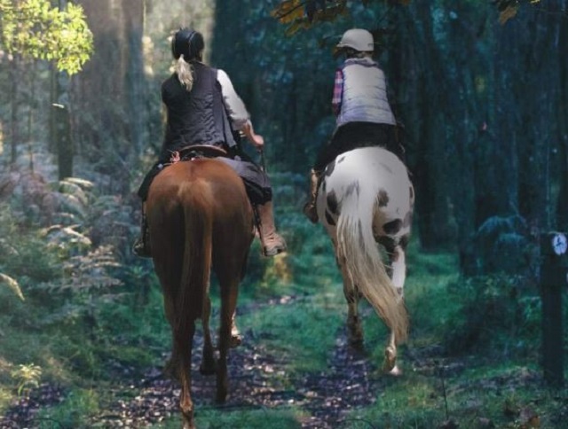 Macedon Ranges Horse Riding Guide
