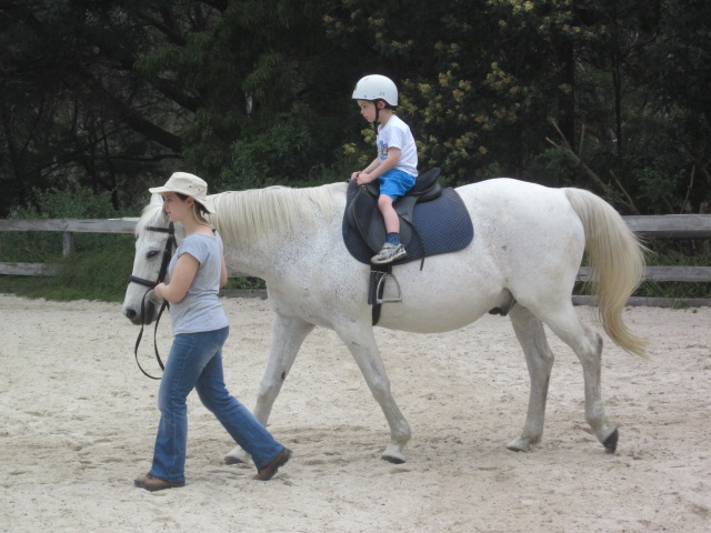 Collingwood Childrens Farm