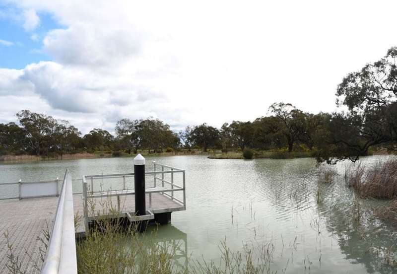 Horsham Police Paddock