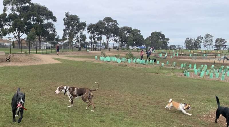 Hovells Creek Reserve Fenced Dog Park (Lara)