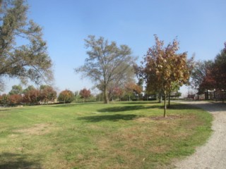 Hunt Club Reserve Dog Off Leash Area (Cranbourne East)