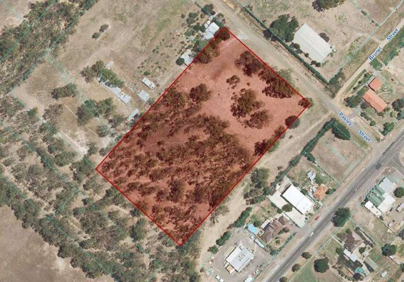 Huntly Public Gardens Dog Off Leash Area Northern Country Outside