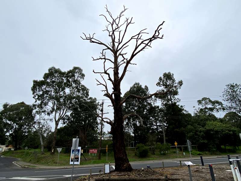Hurstbridge Heritage Trail