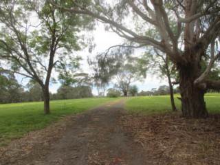 Husseys Reserve Dog Off Leash Area (Warrandyte)