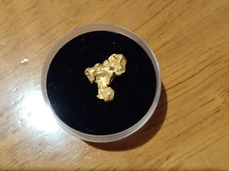 Inglewood - Gold Nugget Hunter
