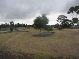 International Gardens Reserve Fenced Dog Park (St Albans)